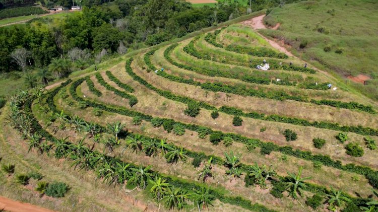 Professor da UFV é um dos autores de livro sobre cafeicultura e mudanças climáticas