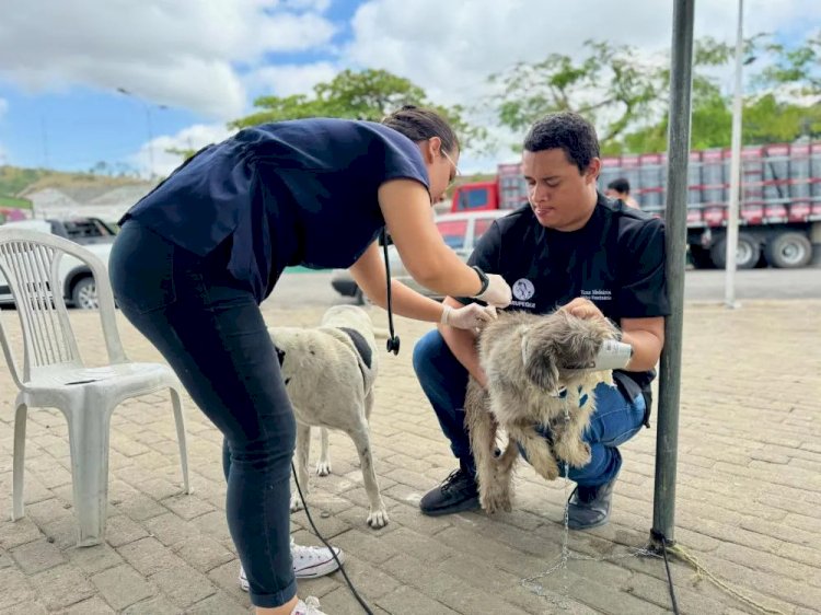 PMV lança projeto de suporte psicológico para protetores de animais