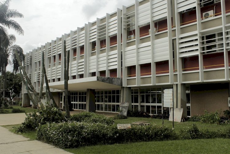 Grupo da UFV promove ciclo de palestra sobre abelhas