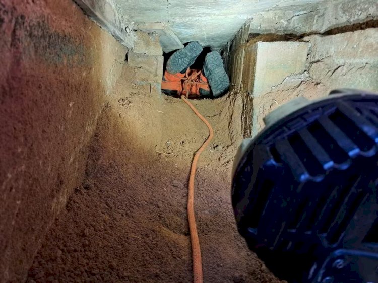 Bombeiros resgatam filhote de cachorro em local de difícil acesso em Muriaé