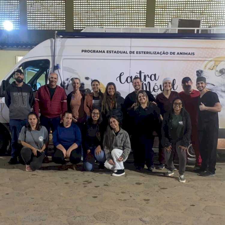 Mutirão de Castração em Ervália atende quase 250 animais