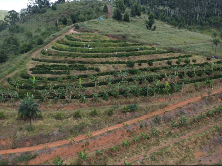 MCTI aprova criação de instituto nacional sobre agricultura e montanha na UFV