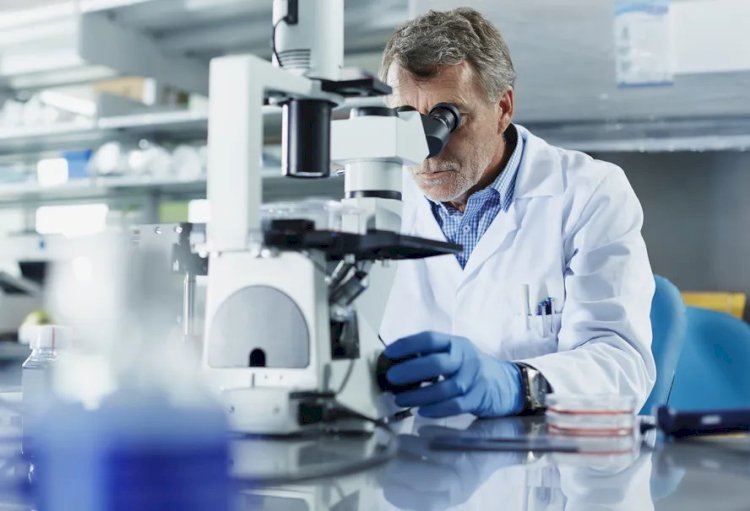 Prêmio Mercosul de Ciência e Tecnologia 2025 tem inscrições abertas