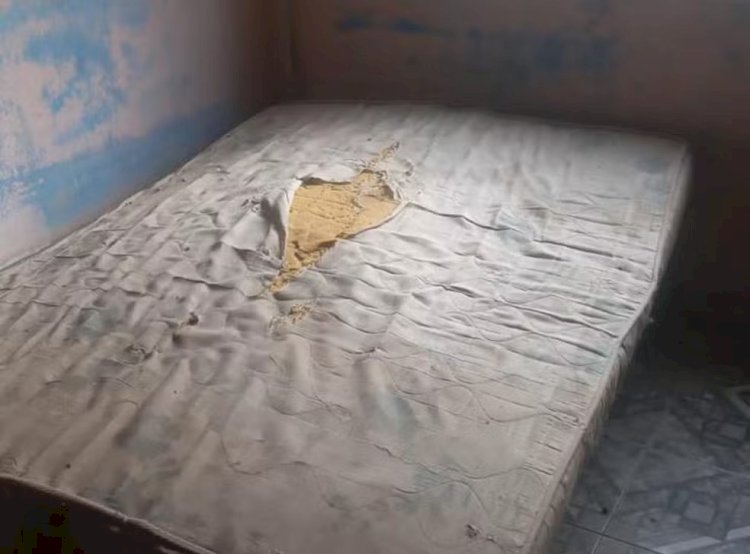 Polícia resgata adolescentes que ficaram em cárcere privado em casa de prostituição em Ubá