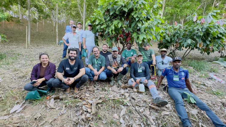 Cacauicultura cresce em Minas e Senar faz curso piloto na Zona da Mata