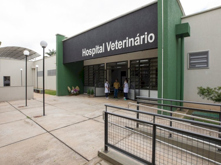 Residência em Medicina Veterinária na UFV abre inscrições