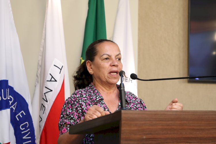 Câmara de Viçosa anuncia nova data de audiência pública sobre programa Calçamento Popular