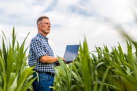 Secretaria de Agropecuária divulga dicas de segurança cibernética para agronegócio