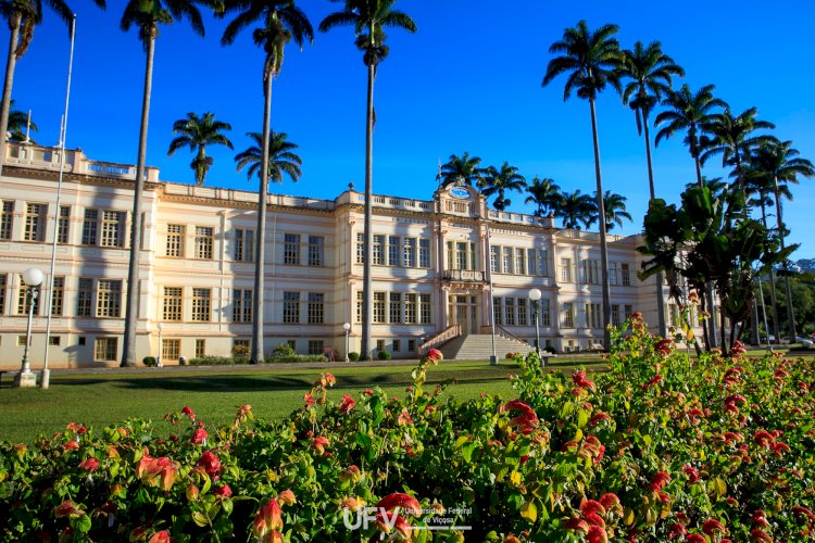 UFV aprova criação de três novos cursos