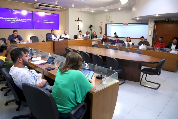 Cessão de lotes do Distrito Industrial de Viçosa é aprovada na Câmara