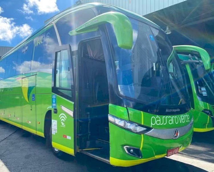 Procon-MPMG multa Viação Pássaro Verde por má conservação de ônibus e atrasos