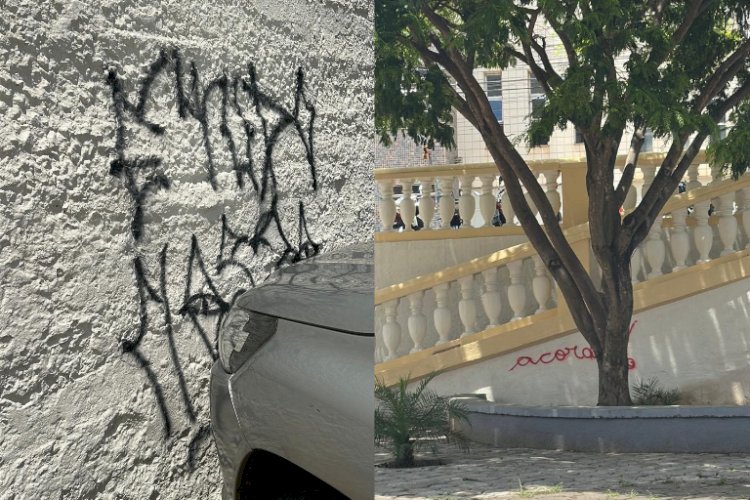 Projeto de Lei propõe multa e cobrança de limpeza para pichadores em Viçosa