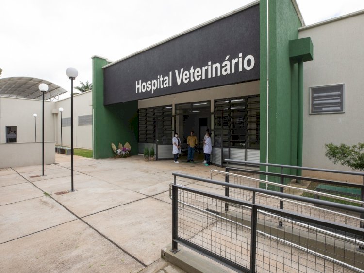 Residência em Medicina Veterinária na UFV abre inscrições