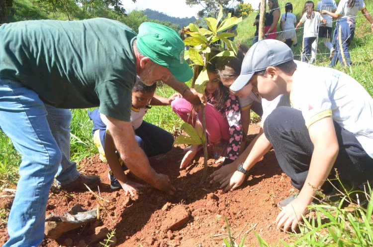 Programa Lençóis Viçosenses e ViJazz promovem plantio de mudas em Viçosa