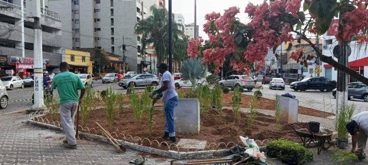 PMV inicia repaginação de praças e jardins com novas espécies de plantas