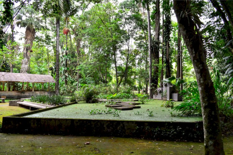 UFV promove visita à museus e espaços de ciências