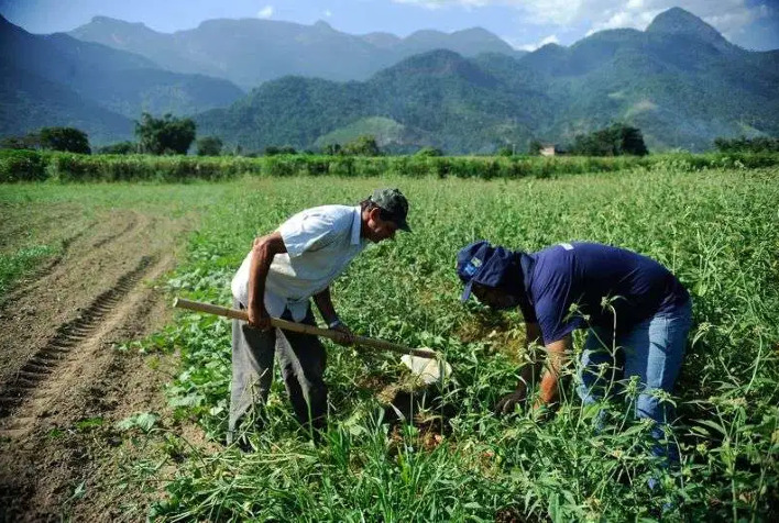 Mais de 70Ús propriedades rurais em Minas são da agricultura familiar