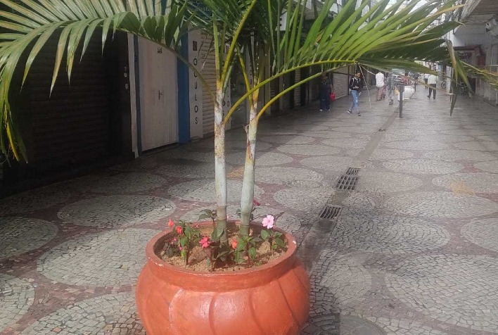 Bancos e vasos de plantas do calçadão e calçadinho são revitalizados