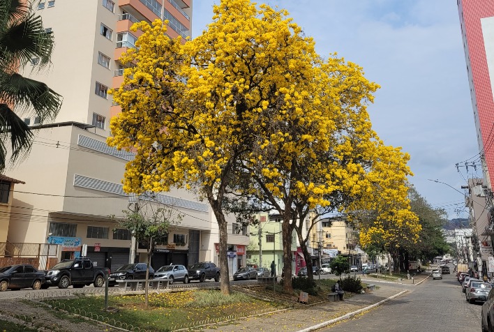 Confira como fica o tempo em Viçosa e região nesta terça-feira (28)