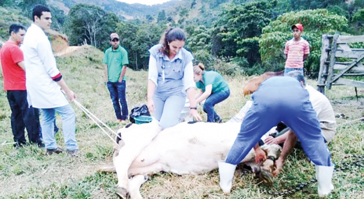 Araponga firma parcerias com Veterinária da UFV