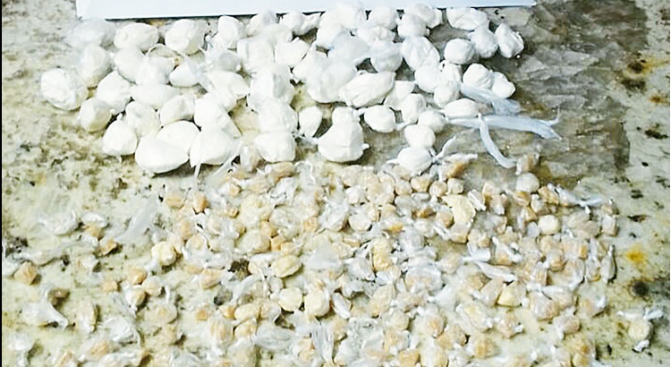 Polícia Militar apreende grande quantidade de drogas no Vale do Sol