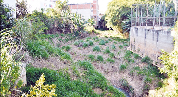 Novas Normas para Construções em APPs